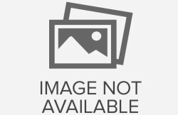 TRẢI NGHIỆM DỊCH VỤ SPA &amp; SHOPPING ĐẲNG CẤP CHO THÚ CƯNG TẠI PETINY PET SHOP