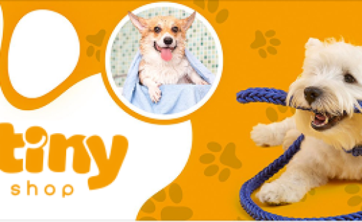 Chế độ ăn uống cho thú cưng phù hợp mùa nóng 