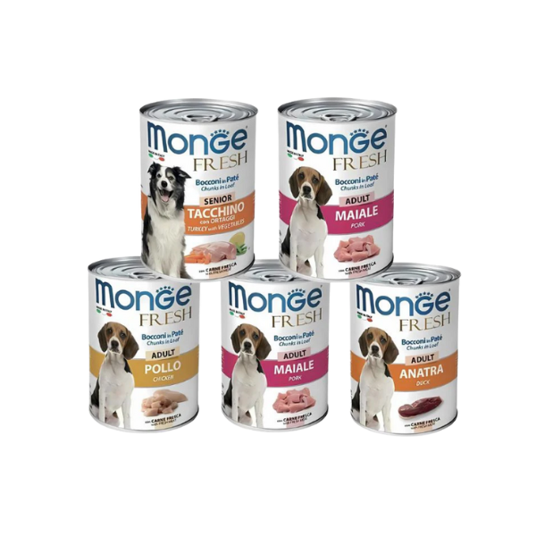 Pate Monge Fresh cho chó lon 400g
